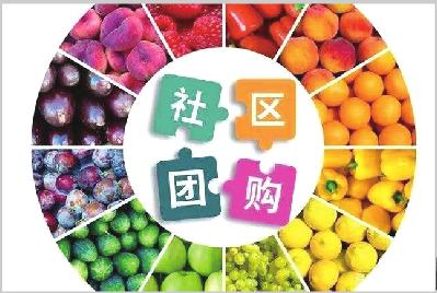 如何快速建立社区团购群,现在做社区团购还有几个平台