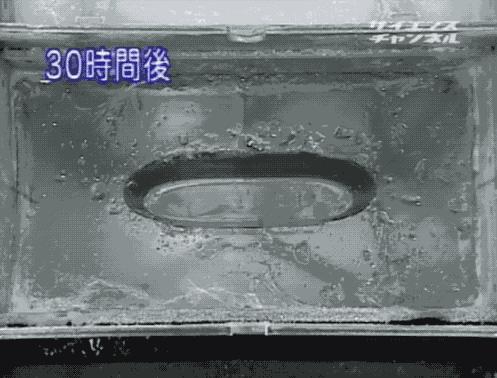 心静自然凉透心凉,心静自然凉的视频怎么做的