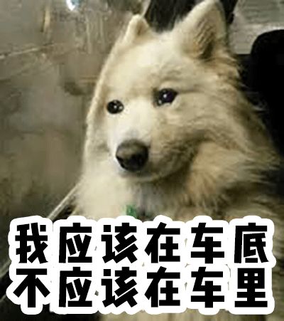 618钱包可以保住吗,618钱包能买到吗