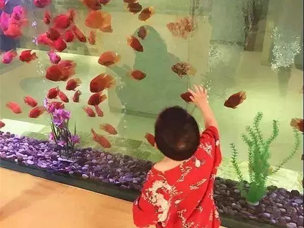 哈一顿温泉团购,哈一顿水上乐园门票