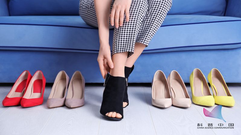 罗马脚希腊脚埃及脚命运,罗马脚希腊脚埃及脚各是什么特点