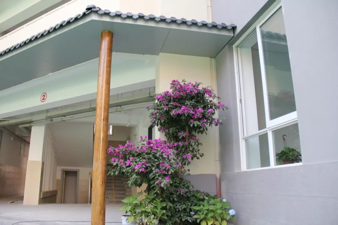 成都东城根街小学,东城根街小学现状