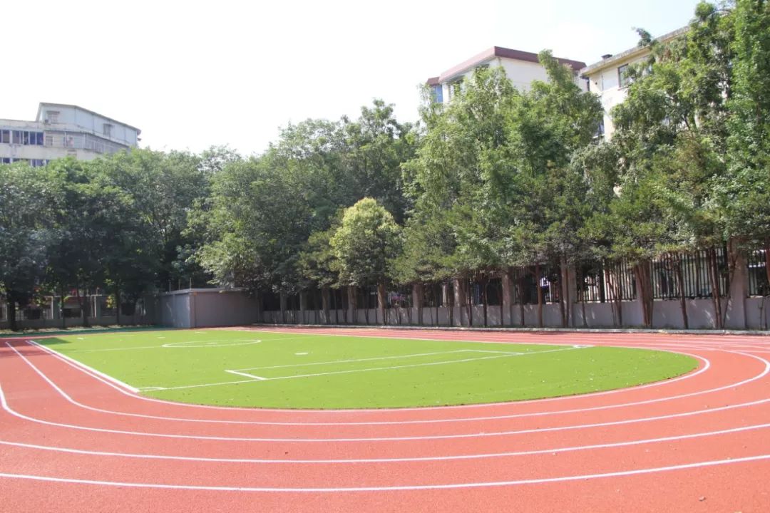成都东城根街小学,东城根街小学现状