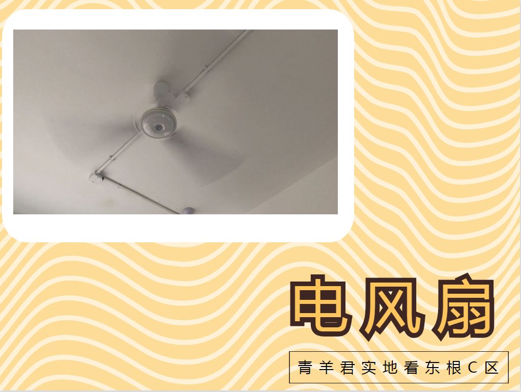 成都东城根街小学,东城根街小学现状