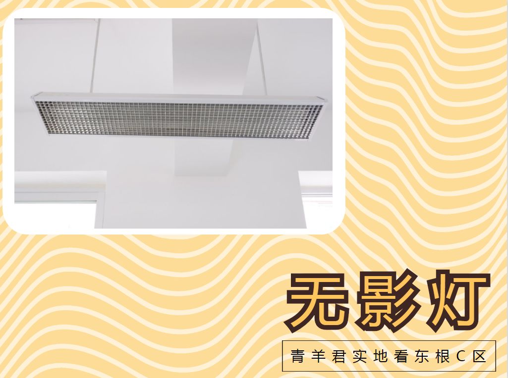 成都东城根街小学,东城根街小学现状