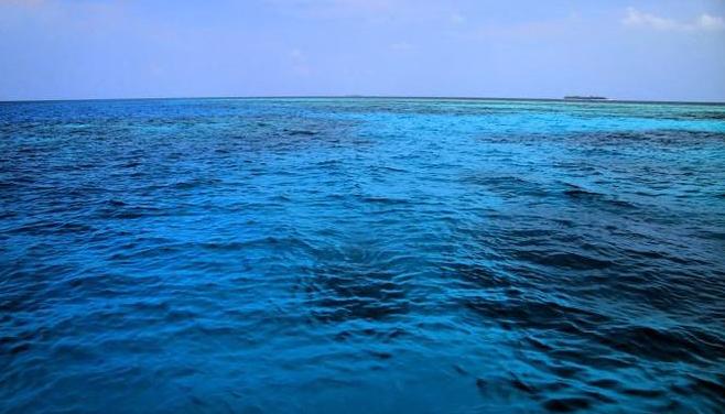 新海洋奇肌(CoralOcean,轻松破解时间奥秘