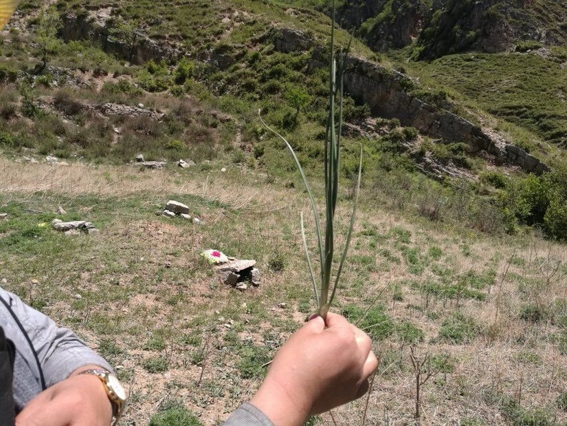蔚县茶山风景图片大全,蔚县茶山村风景
