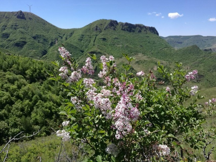 蔚县茶山风景图片大全,蔚县茶山村风景