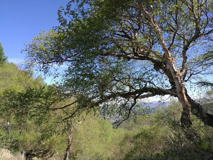 蔚县茶山风景图片大全,蔚县茶山村风景