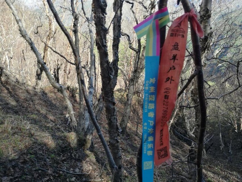 蔚县茶山风景图片大全,蔚县茶山村风景