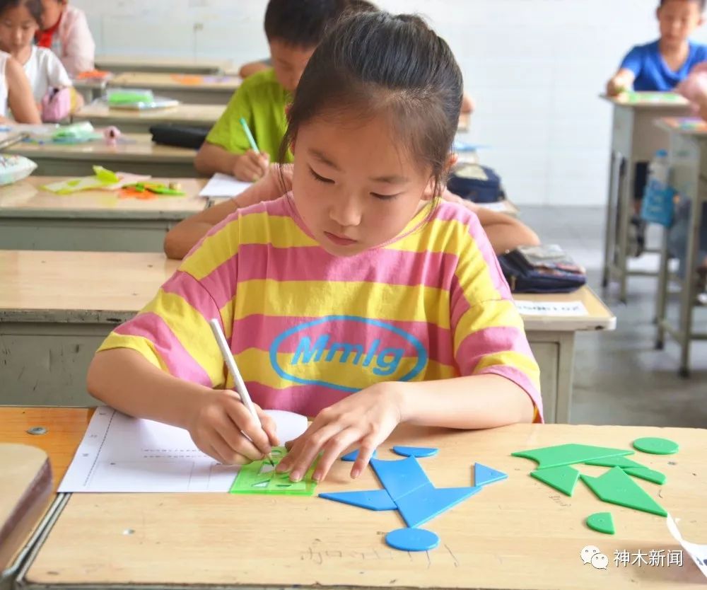 滨海县智力七巧板竞赛,广东省青少年七巧板比赛获奖名单