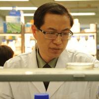 乳腺癌免疫治疗疗效怎么样,乳腺癌免疫治疗效果如何