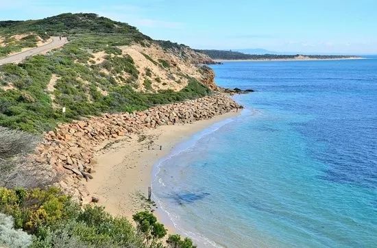 超级凶的青蟹,澳洲青蟹泛滥成灾