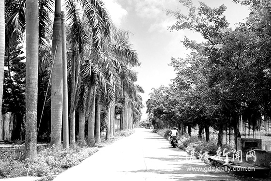 村村有风光,户户整洁村村清洁