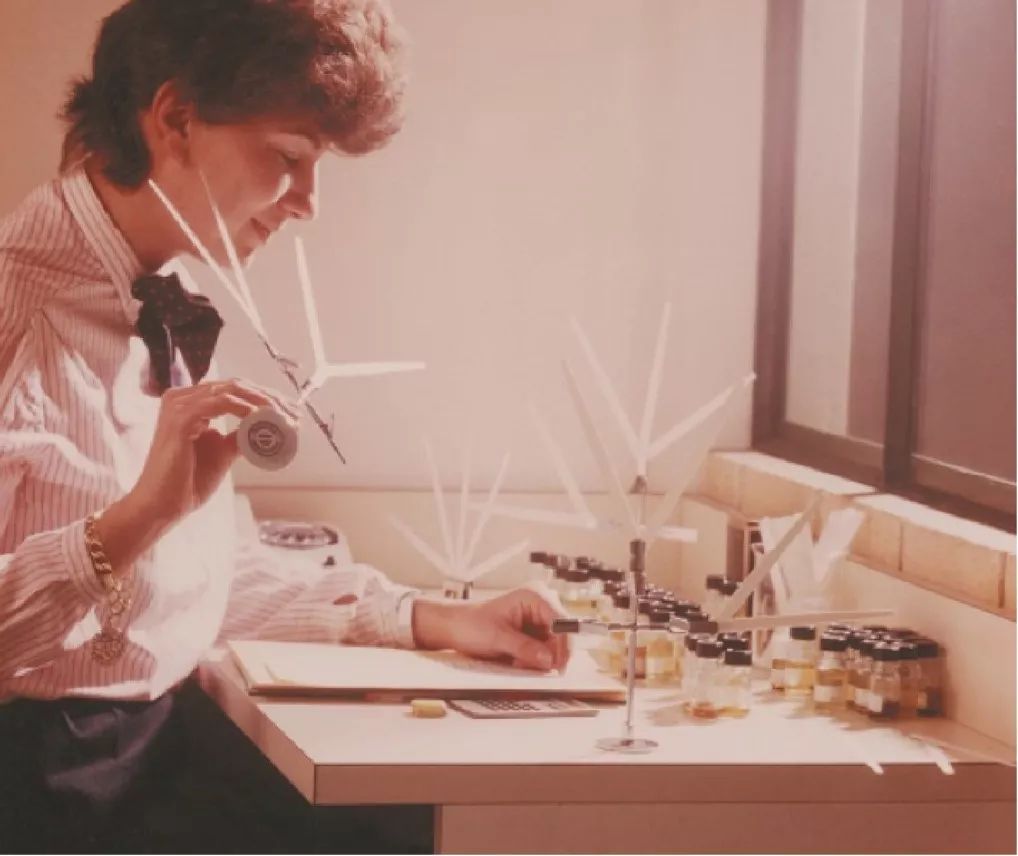 无花果和什么花茶一起煮,无花果夏天的味道