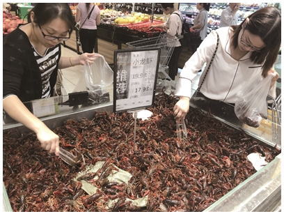 100块钱能买5斤!今年小龙虾价格“腰斩”,养殖户只求今年能保本