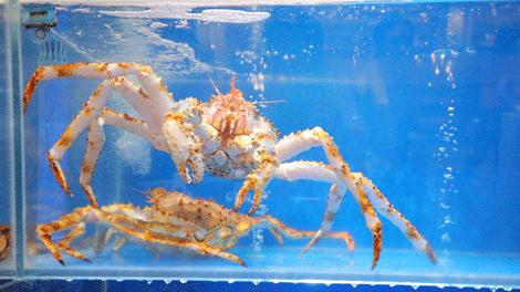 别只知道三里屯！三环4000㎡美颜基地，刚到北京