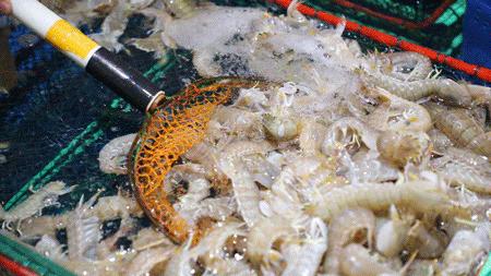 别只知道三里屯！三环4000㎡美颜基地，刚到北京