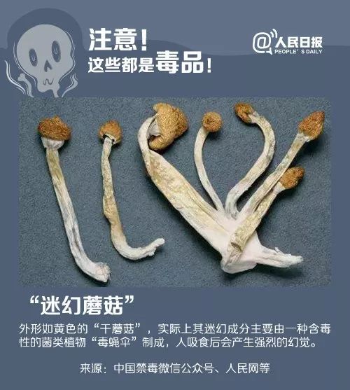 卖毒品99克被警察捉,警方破获保健品案抓获多人
