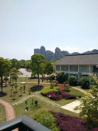 中奖公告丨史上最有效治疗失眠的方法原来是这个!