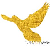 名医讲座直通车,名医直通车直播多长