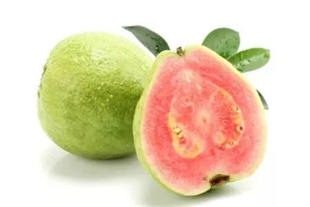 四季都结果梨树,台湾四季梨