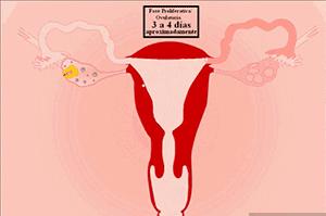 女生必知的10条妇科常识，最后一条特别重要！