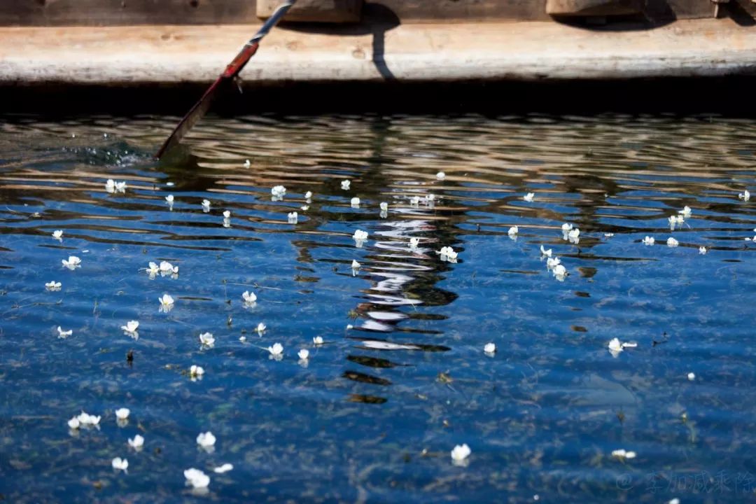泸沽湖2月开花吗,泸沽湖等你