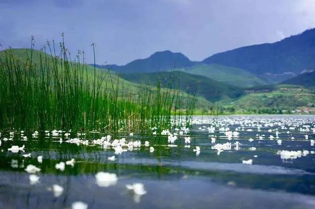 泸沽湖2月开花吗,泸沽湖等你