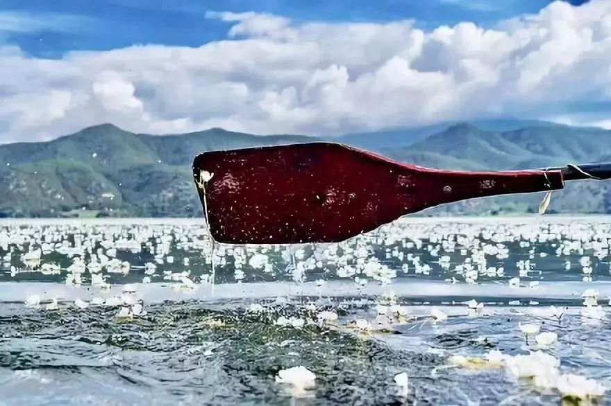 泸沽湖2月开花吗,泸沽湖等你