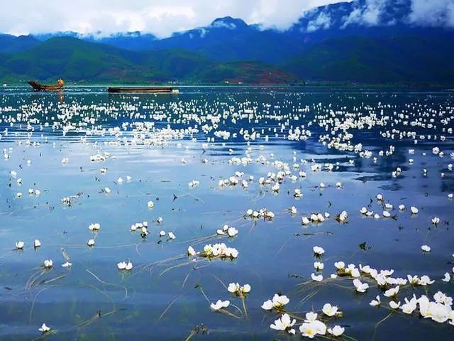 泸沽湖2月开花吗,泸沽湖等你