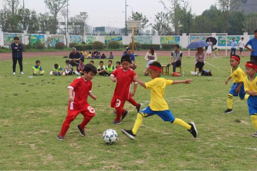 温州市幼儿足球联赛,拱墅区第二届幼儿足球比赛要求