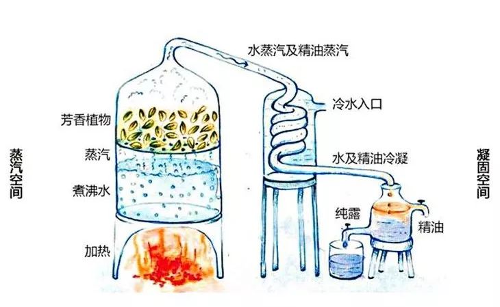 护肤水保湿补水正品大瓶直播,护肤水团购