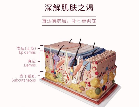 护肤水保湿补水正品大瓶直播,护肤水团购