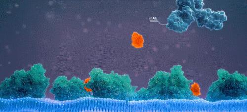 痒？给你一支“不求人”