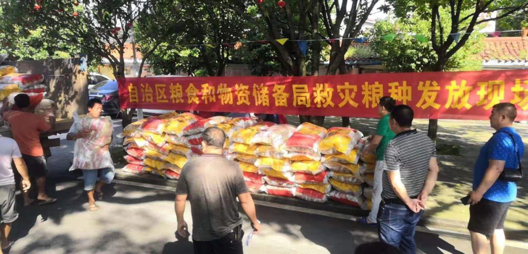 白关镇抗洪抢险,全力做好重点区域抗洪抢险工作