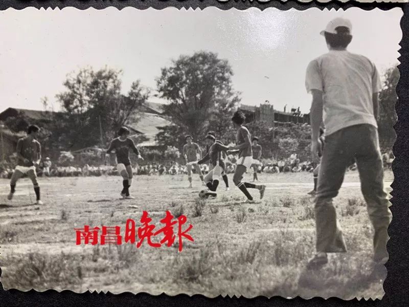 中国女足亚洲杯夺冠学校,中国女足有5人来自江苏师大