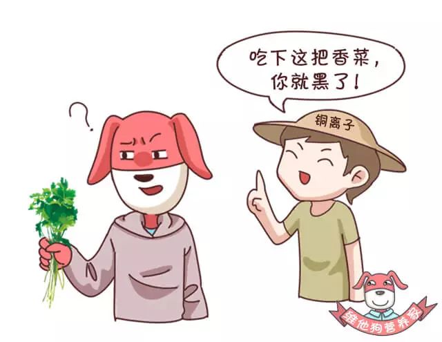 怎样吃感光食物不会晒黑,预防晒黑应该吃的食物