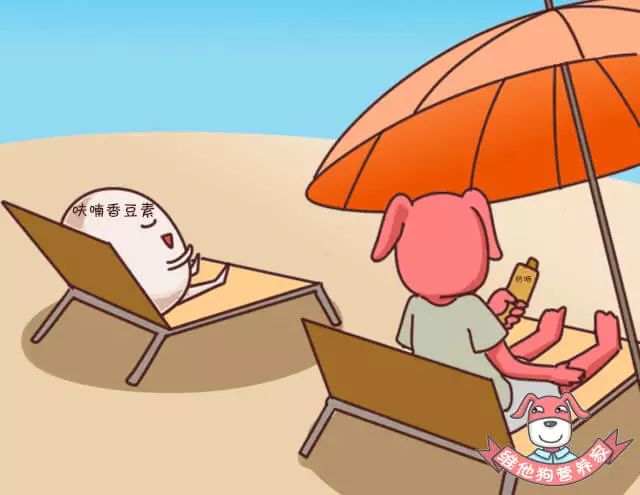 怎样吃感光食物不会晒黑,预防晒黑应该吃的食物