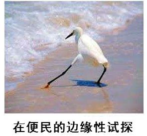 如何用交管12123给车辆年检,在交管12123如何办理车辆年检