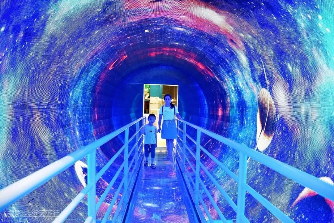 厦门带孩子玩景点攻略推荐,厦门带孩子最值得去的旅游景点