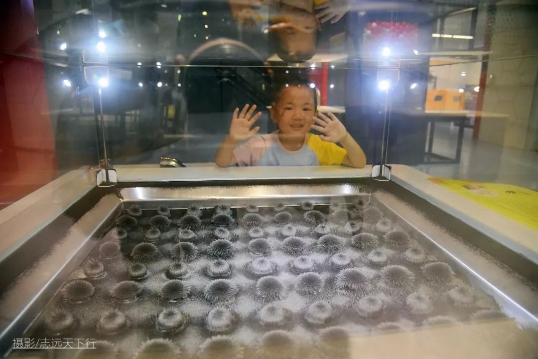 厦门带孩子玩景点攻略推荐,厦门带孩子最值得去的旅游景点