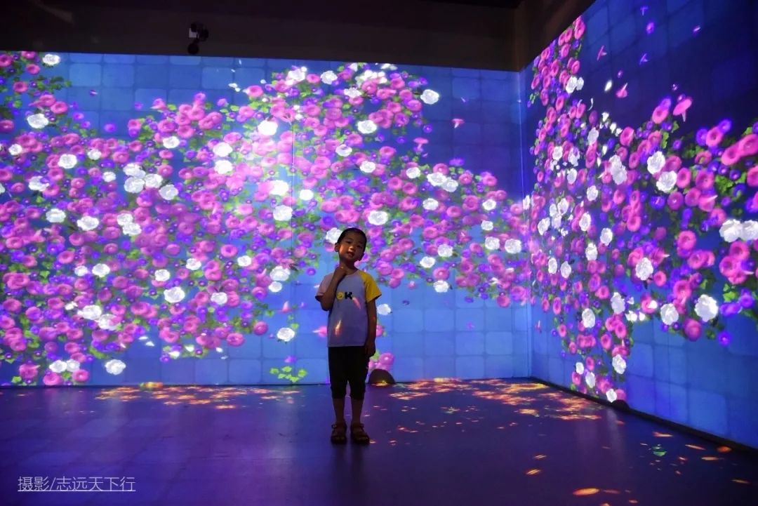 厦门带孩子玩景点攻略推荐,厦门带孩子最值得去的旅游景点