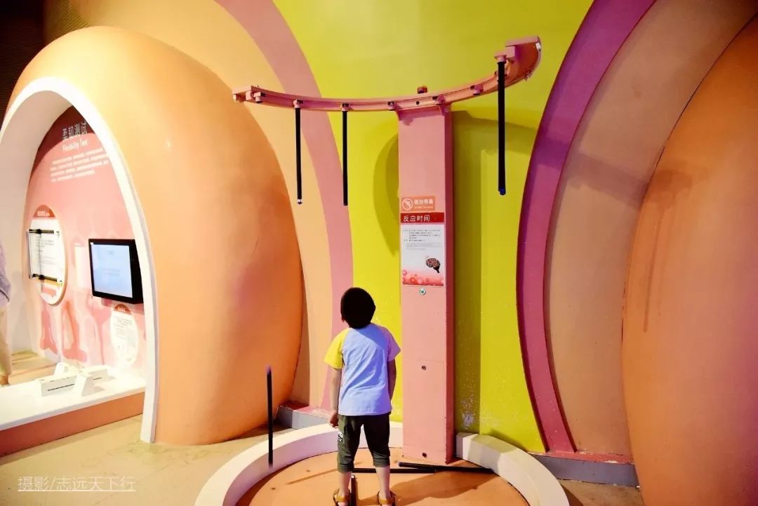 厦门带孩子玩景点攻略推荐,厦门带孩子最值得去的旅游景点