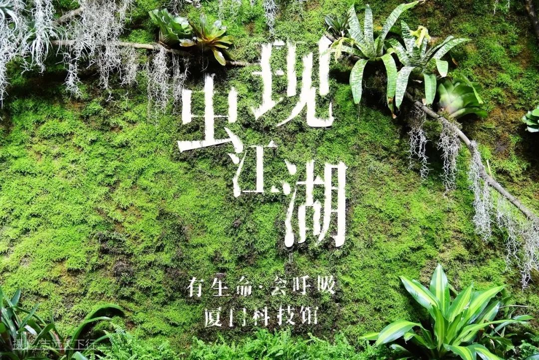 厦门带孩子玩景点攻略推荐,厦门带孩子最值得去的旅游景点