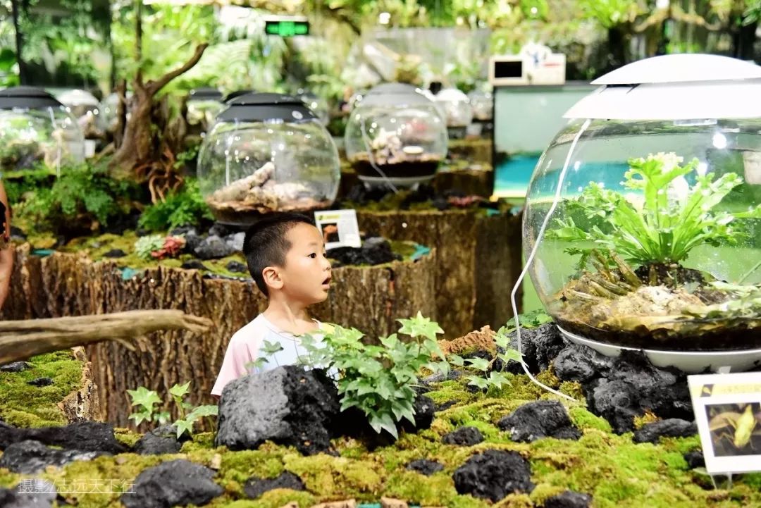 厦门带孩子玩景点攻略推荐,厦门带孩子最值得去的旅游景点