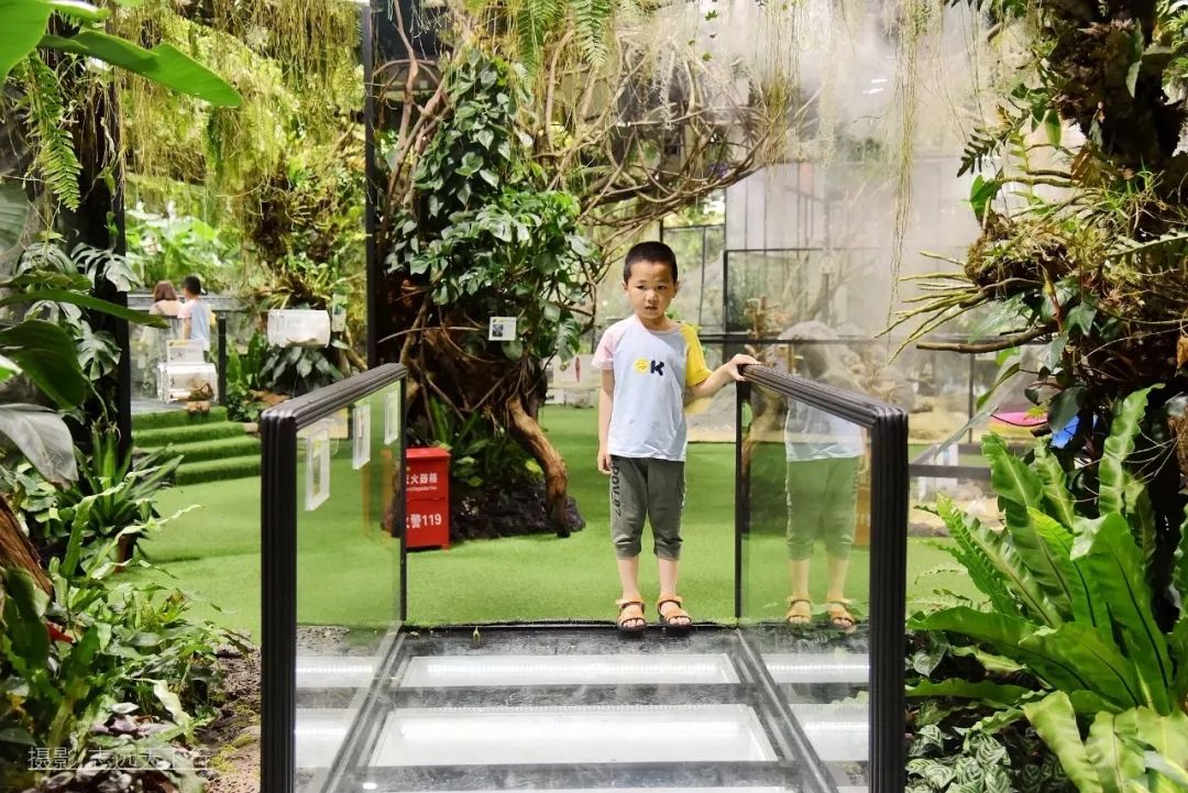 厦门带孩子玩景点攻略推荐,厦门带孩子最值得去的旅游景点