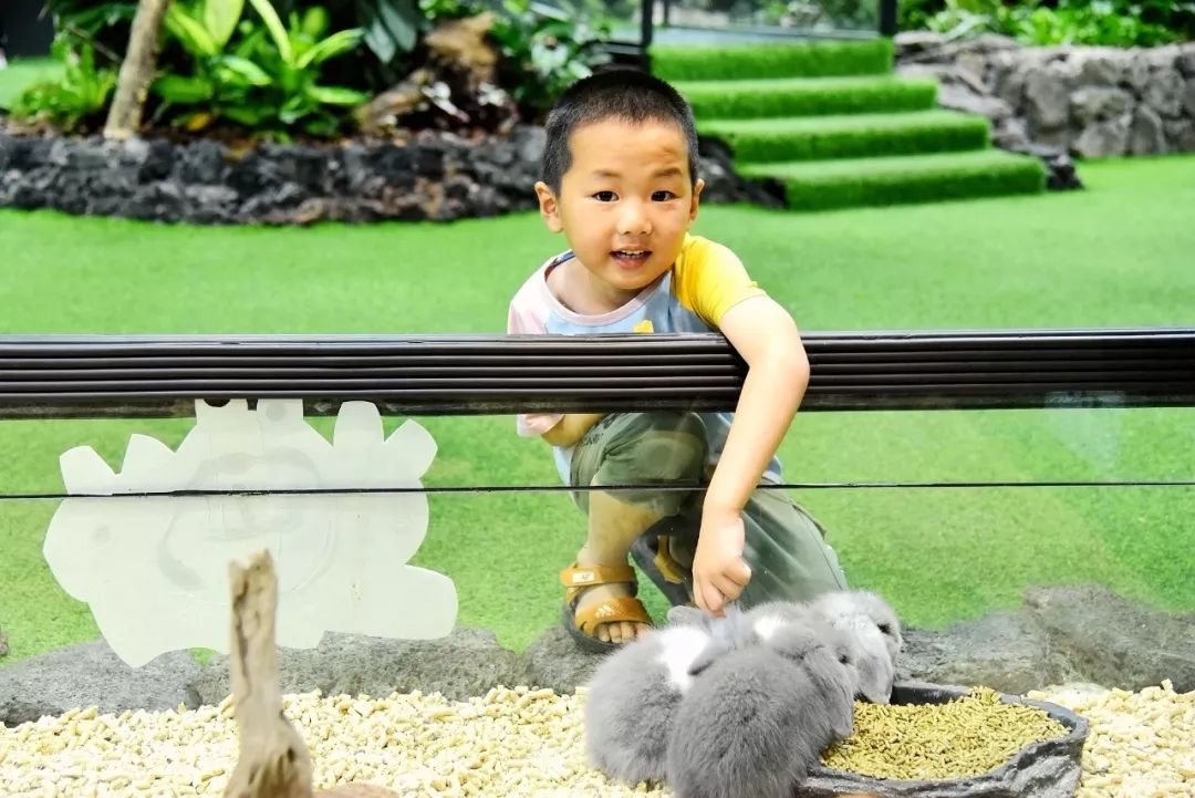 厦门带孩子玩景点攻略推荐,厦门带孩子最值得去的旅游景点