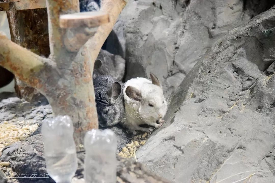 厦门带孩子玩景点攻略推荐,厦门带孩子最值得去的旅游景点