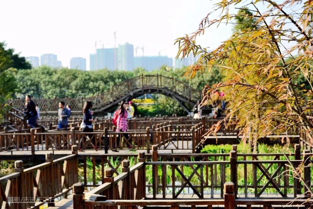 厦门带孩子玩景点攻略推荐,厦门带孩子最值得去的旅游景点